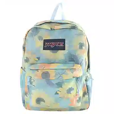 JanSport 26L