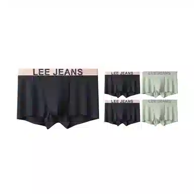 Lee 5.01.0 7A 5