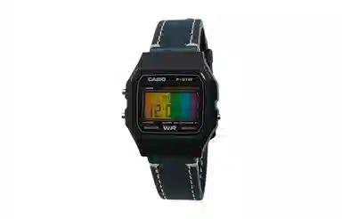 CASIO DW-5600UBB