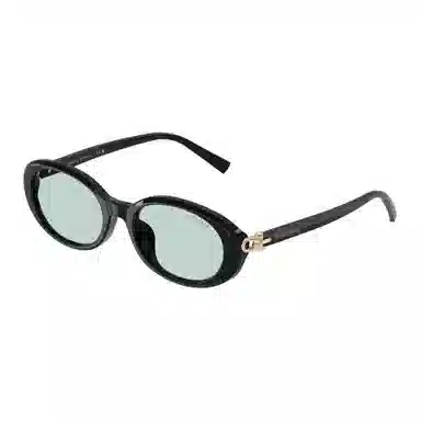 Tiffany & Co. Oval Acetate Sunglasses Black