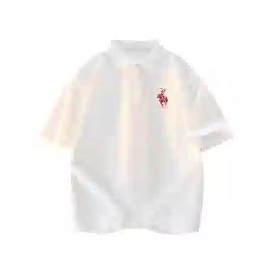 PUNCTILIOUS LOGOPolo