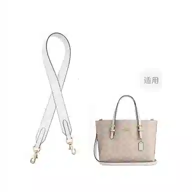 COACH Mollie 25 Tote