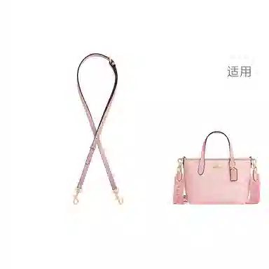 jingxi city15 coach mini