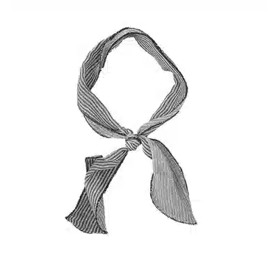 杨同学 春夏轻薄透气小 丝巾 女款