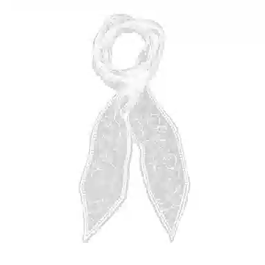 杨同学 蕾丝百搭 丝巾 女款