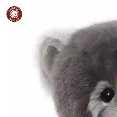 Charlie Bears 27cm