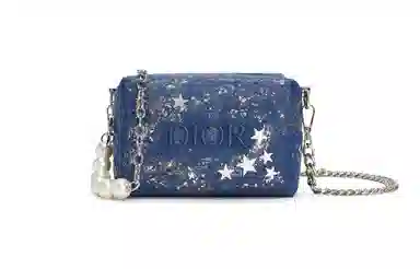 DIOR 811 mini