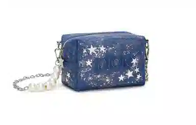 DIOR 811 mini