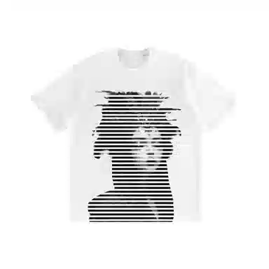 fdragon T