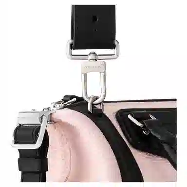 Louis Vuitton Biker Nano Pink