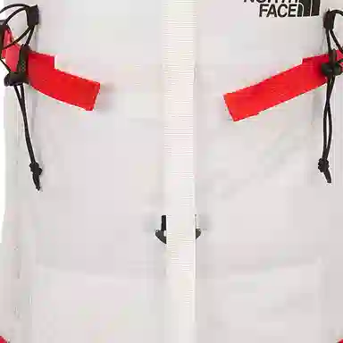 THE NORTH FACE38L Logo