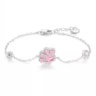 CAREBEARS S925