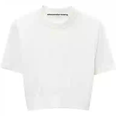 alexander wang T