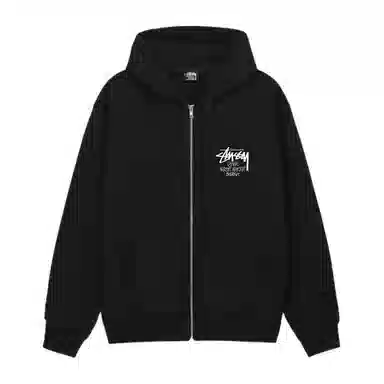 Stussy SS25 DSM logo
