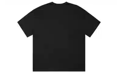 ICONS Lab ICS T