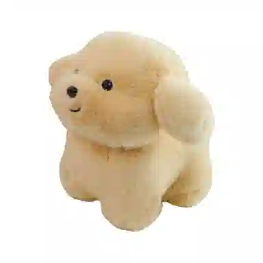 CANEXT 20cm