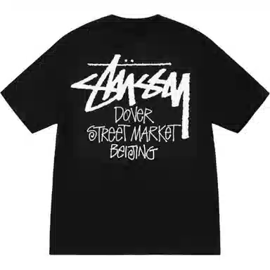 Stussy SS25 DSM logoT