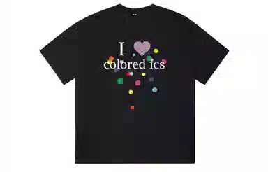 ICONS Lab ICS T