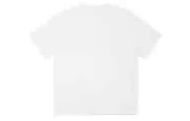 ICONS Lab ICS T