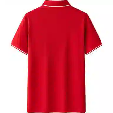 PIERRE CARDIN Polo