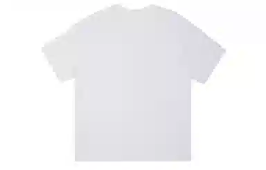 ICONS Lab ICS T