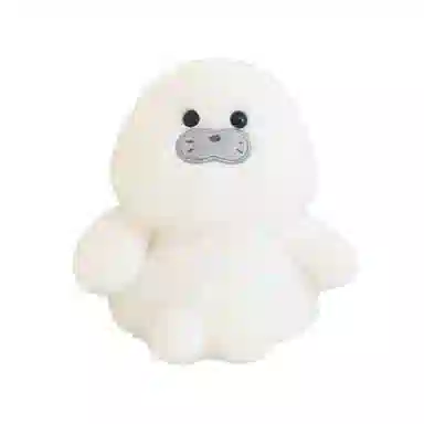 CANEXT 13cm