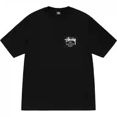 Stussy SS25 DSM logoT