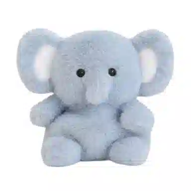 CANEXT 13cm