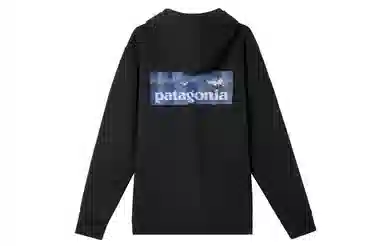 patagonia Logo