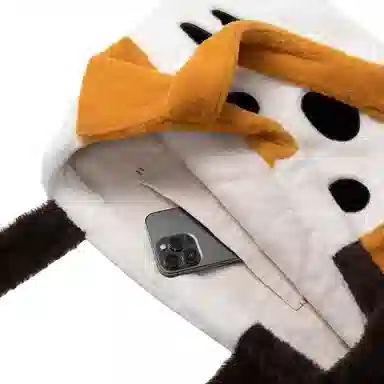 IP