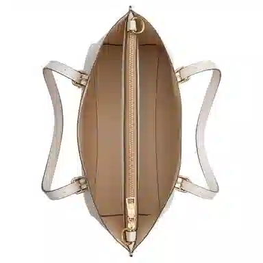 COACH Mollie 25 Tote Peanuts Snoopy