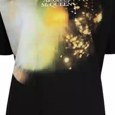 Alexander McQueen T
