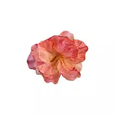 蒙妮 超仙森系花朵抓夹 亚克力 发夹 女款