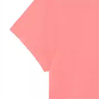 Polo Ralph Lauren Logo T