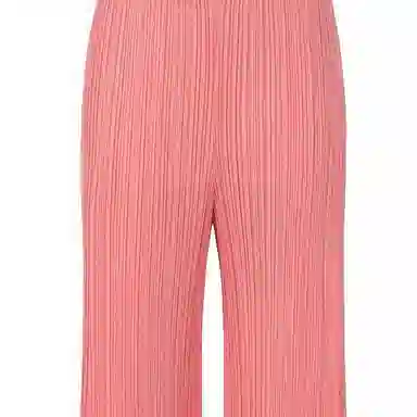 PLEATS PLEASE ISSEY MIYAKE FW22