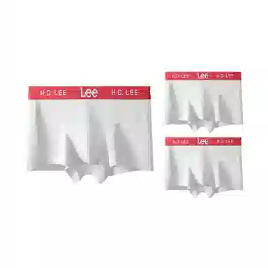 Lee 3.0 10Alogo 3
