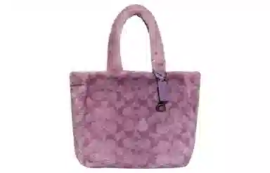 COACH Tote 28