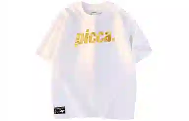 Picca logoT