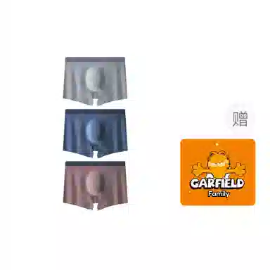 Garfield Family Antibacterial Ice Silk Boxer Briefs Men Set