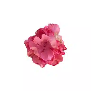 蒙妮 超仙森系花朵抓夹 亚克力 发夹 女款