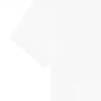 Polo Ralph Lauren Polo