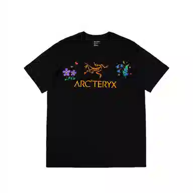 Arcteryx ARC'WORD LOGO