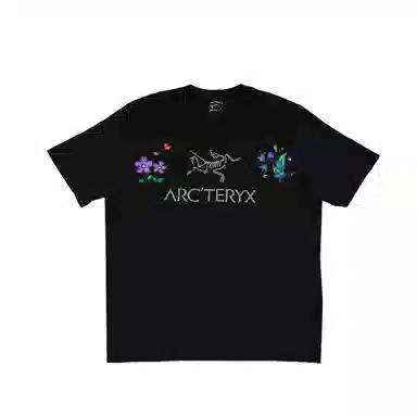 Arcteryx ARC'WORD LOGO
