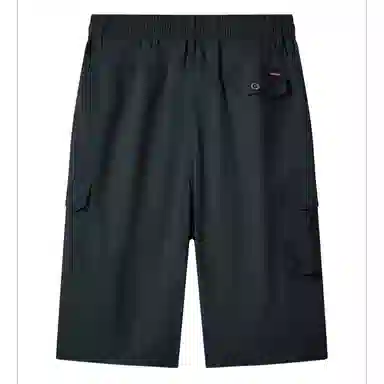 Pierre Cardin Casual Cotton Shorts