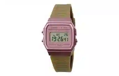 CASIO F-91WS-4