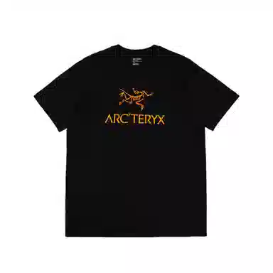 Arcteryx ARC'WORD LOGO