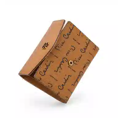 PIERRE CARDIN pvc
