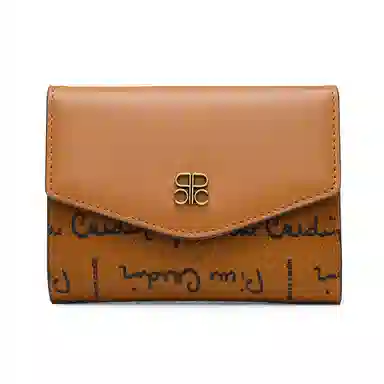 PIERRE CARDIN pvc
