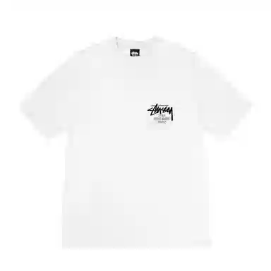 Stussy SS25 DSM logoT