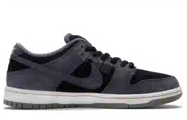 Nike Dunk SB 2.0